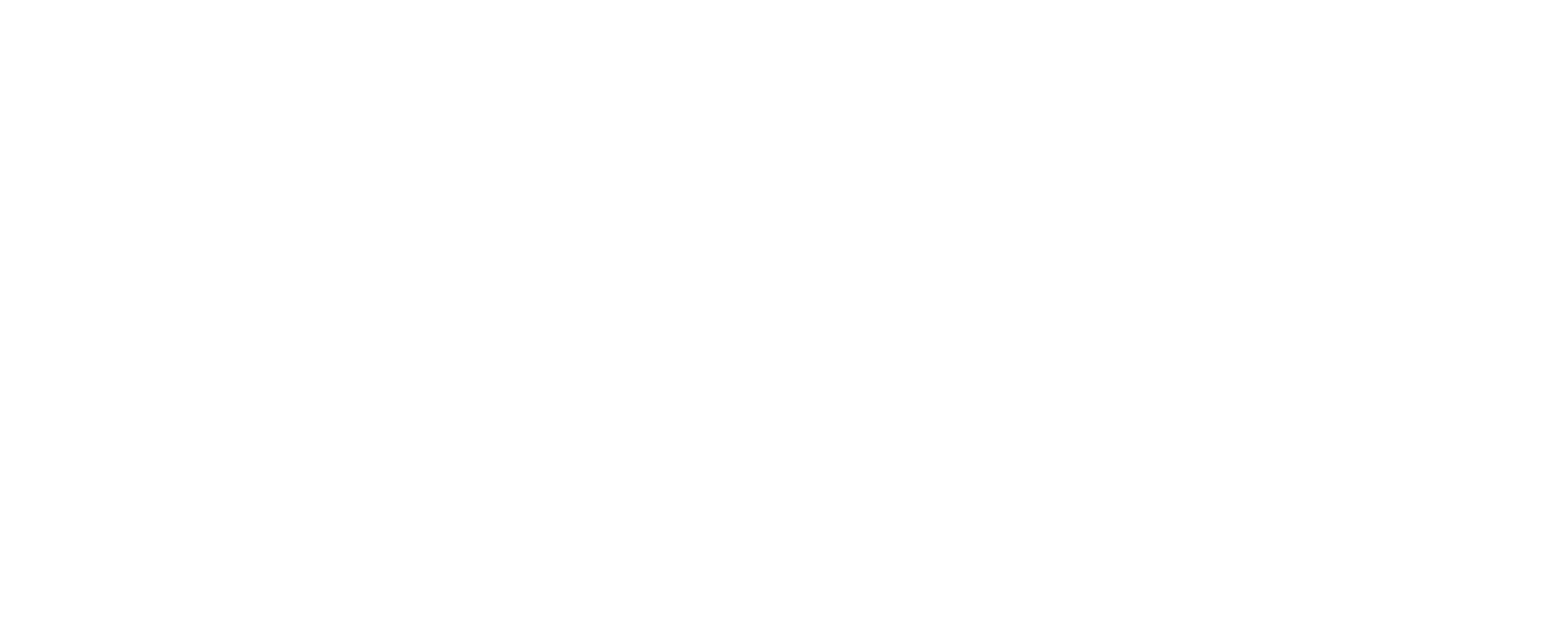 Immaculate Flight Logo_Alt Logo - White
